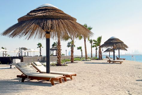 Bolloywood star anticipates in buying $19m Dubai Island.